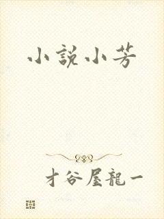 小说小芳