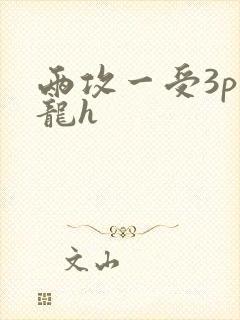 两攻一受3p双龙h