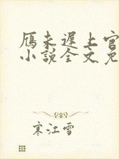 雁未迟上官穿越小说全文免费阅读