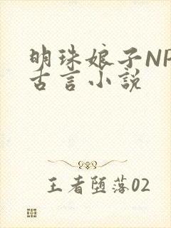 明珠娘子NPC古言小说