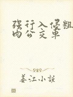 强行入侵粗暴h肉公交车