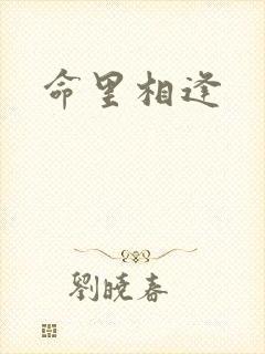 命里相逢
