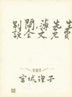 别闹,薄先生小说全文免费阅读