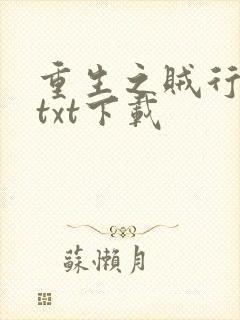 重生之贼行天下txt下载