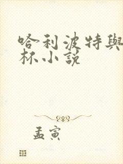 哈利波特与火焰杯小说