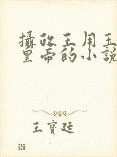 摄政王用玉髓整皇帝的小说