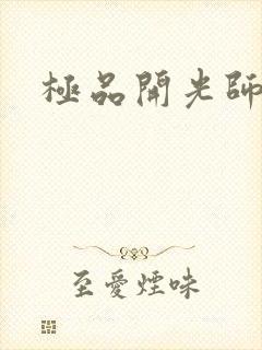 极品开光师