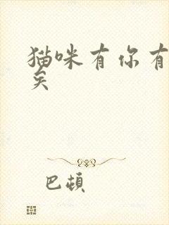 猫咪有你有我足矣