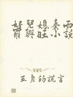 好儿媳秦雨罗明罗兴旺小说