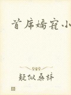 首席娇宠小情人