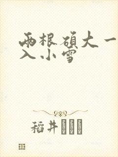 两根硕大一起挤入小雪