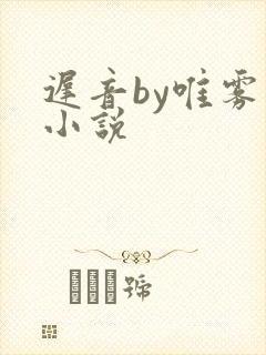 迟音by唯雾的小说