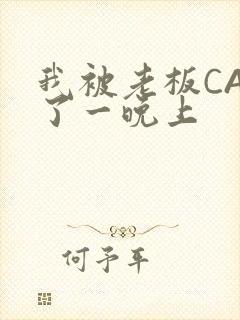 我被老板CAO了一晚上