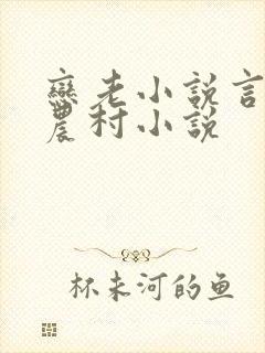 恋老小说言情网农村小说