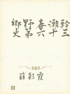 乡野春潮干柴烈火第六十三章
