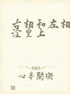 右相和左相一起淦皇上