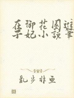 在御花园进入太子妃小说笔趣阁