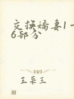 交换娇妻1一36部分
