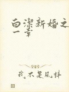 白洁新婚之夜第一章