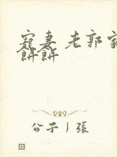 宠妻 老郭家的饼饼