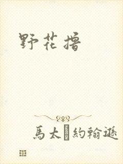 野花撸