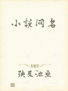 小说网名