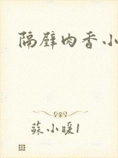 隔壁肉香小说