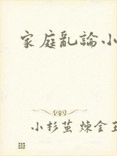 家庭乱论小说