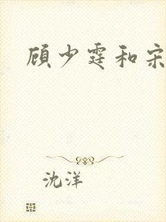 顾少霆和宋斯曼