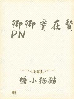 卿卿实在贤良NPN