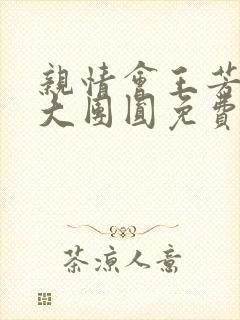 亲情会王芳高敏大团圆免费阅读