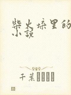 柴火垛里的疯狂小说