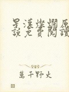 星汉灿烂原著小说免费阅读