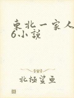 东北一家人1一6小说