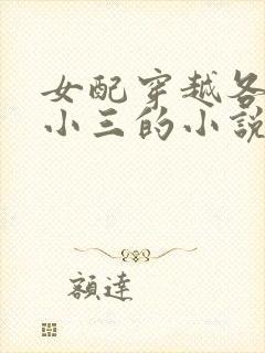 女配穿越各个做小三的小说