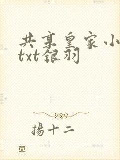 共享皇家小公主txt银羽