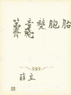 第章双胞胎姐妹齐飞