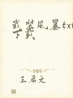 武装风暴txt下载