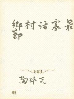 乡村活寡最新章节