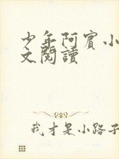 少年阿宾小说全文阅读