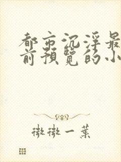 都市沉浮最快超前预览的小说3030