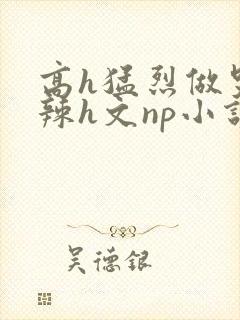 高h猛烈做哭高辣h文np小说