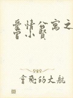 爱情公寓之极品曾小贤