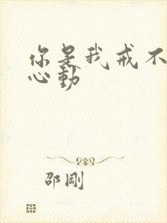 你是我戒不掉的心动
