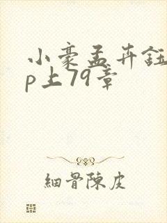 小豪孟卉钰慧三p上79章