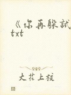 《你再躲试试》txt
