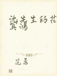 沈先生的花式调冥鸿