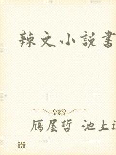 辣文小说书包网