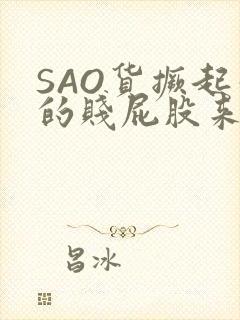 SAO货撅起你的贱屁股来