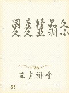 国产精品久久久久久亚洲小说